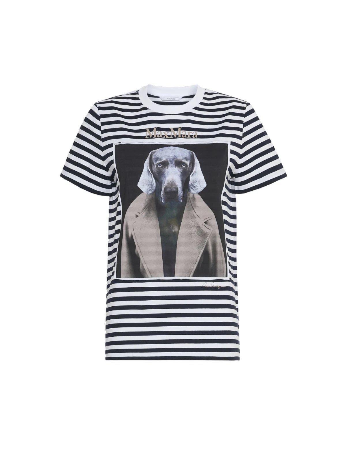 Max Mara Zelante Striped Wegman Print T-Shirt in White Blue Max Mara Zelante Striped Wegman Print T-Shirt in White Blue | T-shirts | Luxury Shoes