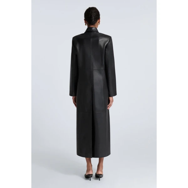 Nour Hammour Fall 2026