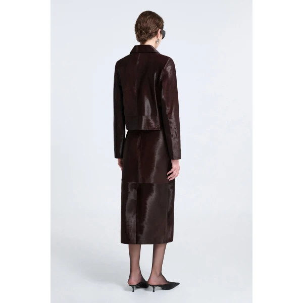 Nour Hammour Fall 2026