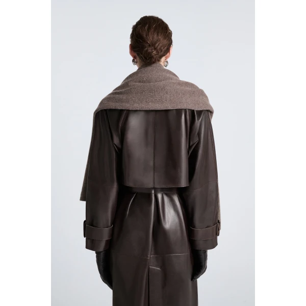 Nour Hammour Fall 2026