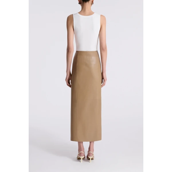 Nour Hammour Fall 2026