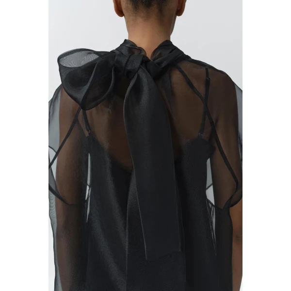 Feyre Organza Top in Black - Image 6