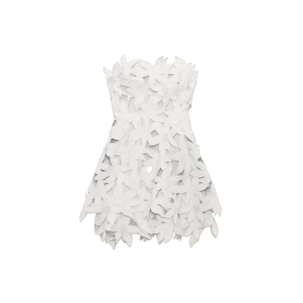 Miri Embroidered Cotton Bustier Mini Dress in Ivory