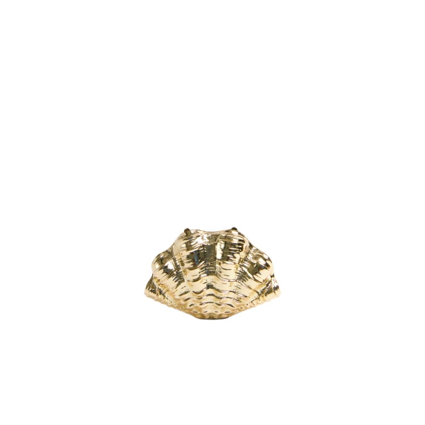 Venus Metal Shell Clutch in Gold