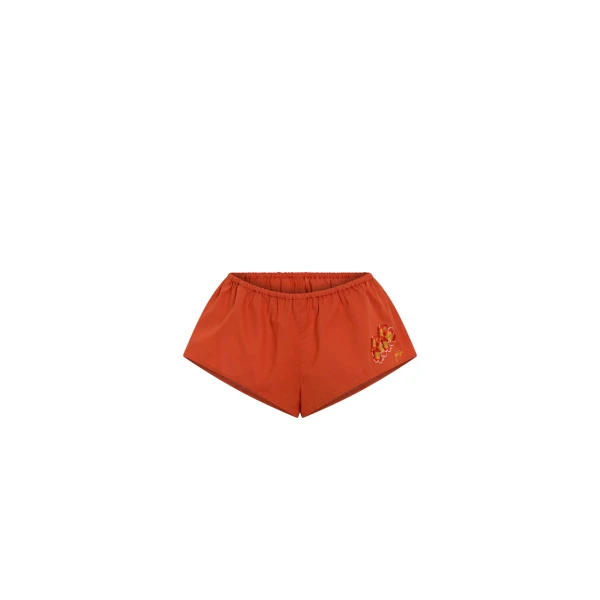 Skylar Embroidered Micro Short in Red Clay