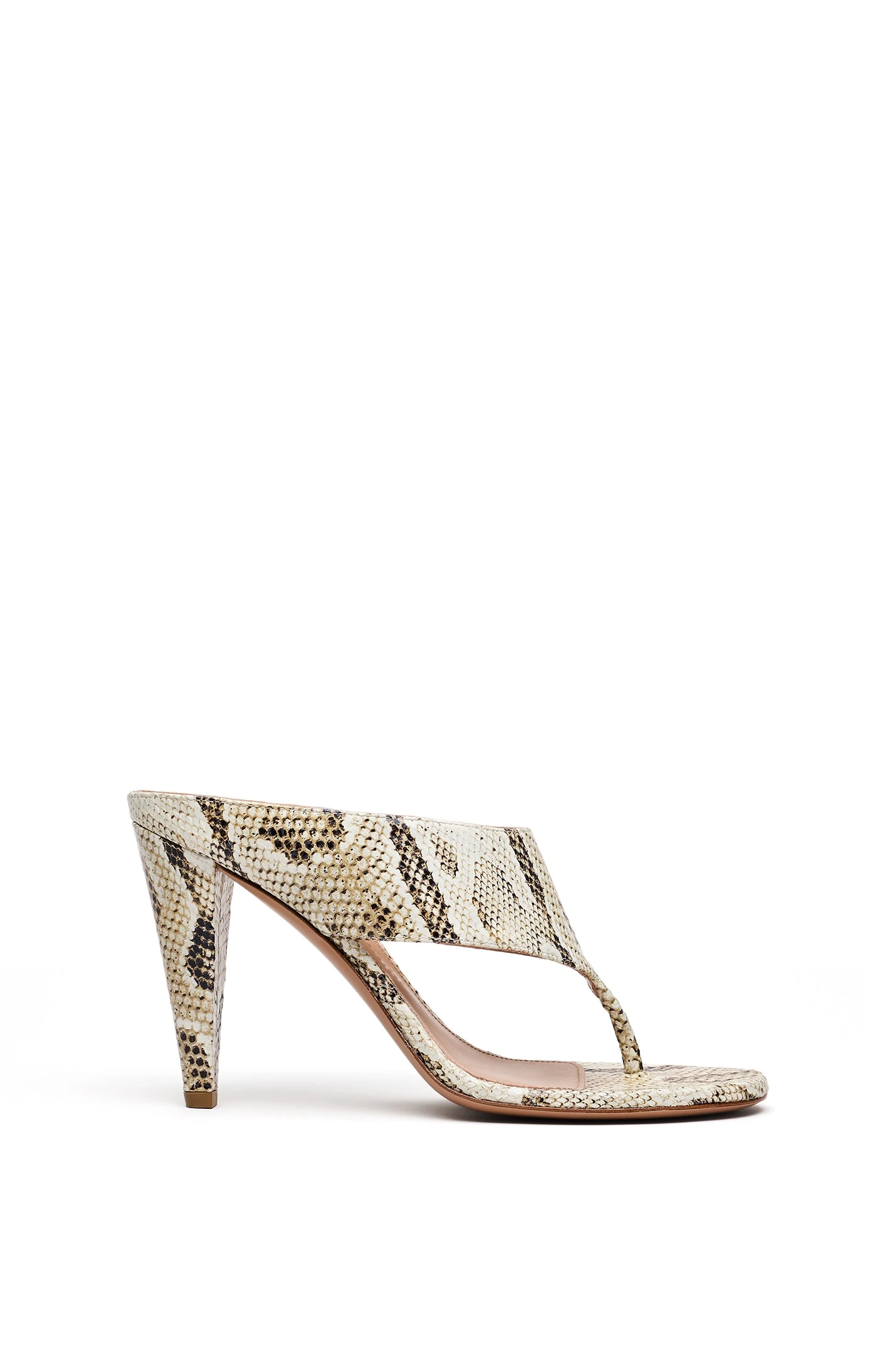 Scanlan Theodore Cone Heel Mule 9.5 in Python at Luxury Shoes Scanlan Theodore Cone Heel Mule 9.5 in Python