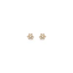 Scanlan Theodore Crystal Petal Studs in Light Gold Crystal Scanlan Theodore Crystal Petal Studs in Light Gold Crystal | Earrings | Luxury Shoes