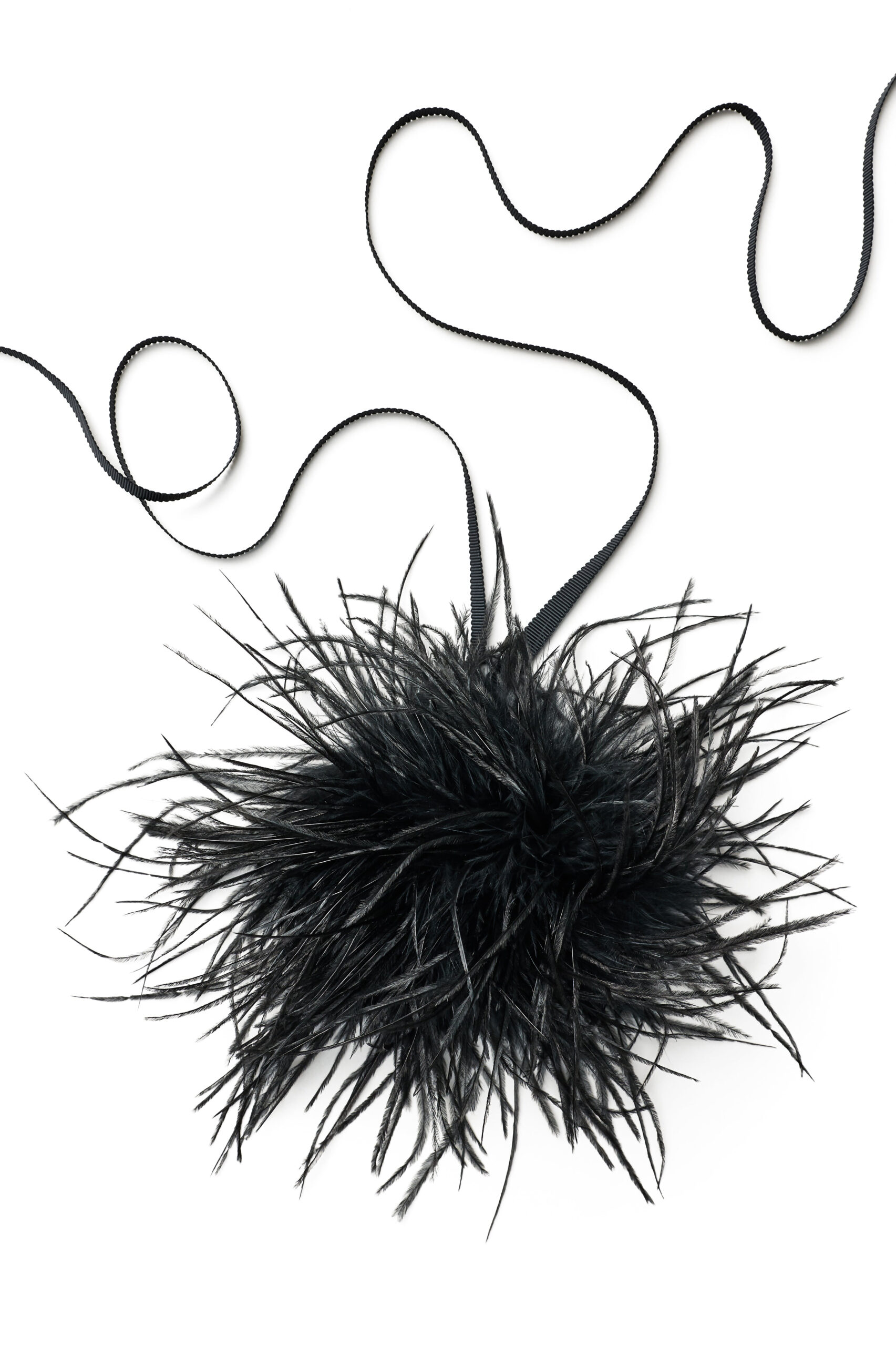 Scanlan Theodore Feather Choker in Black Scanlan Theodore Feather Choker in Black | Necklace | Luxury Shoes