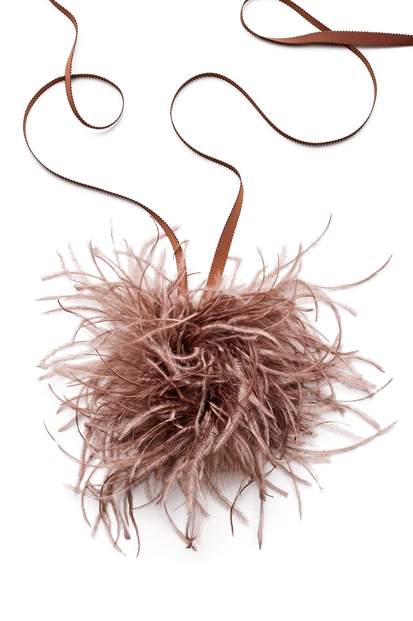 Scanlan Theodore Feather Choker in Cafe Scanlan Theodore Feather Choker in Cafe | Necklace | Luxury Shoes