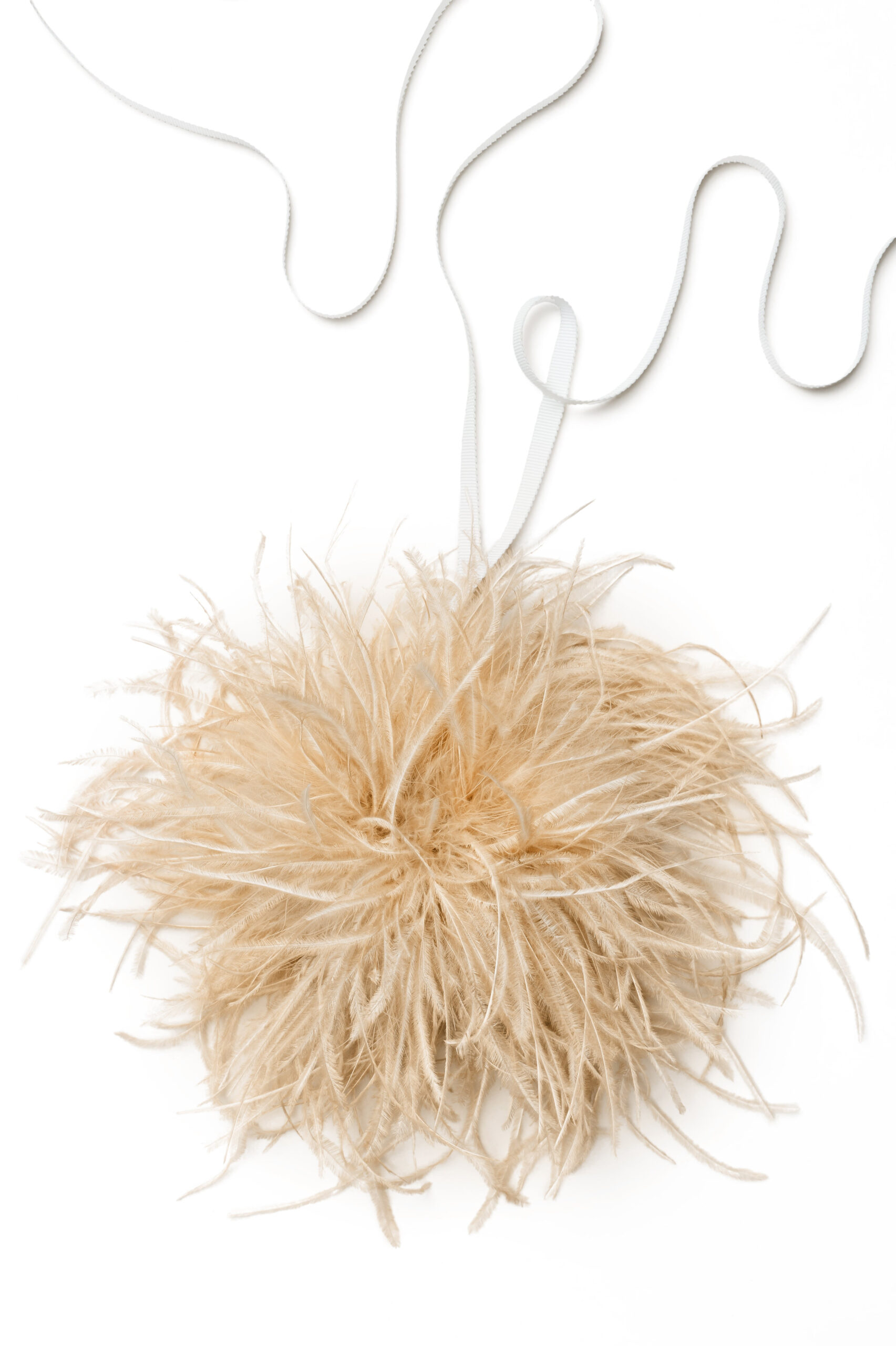 Scanlan Theodore Feather Choker in Sable Scanlan Theodore Feather Choker in Sable | Necklace | Luxury Shoes