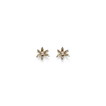Scanlan Theodore Italian Lily Studs in Light Gold Crystal | Earrings | Luxury Shoes 