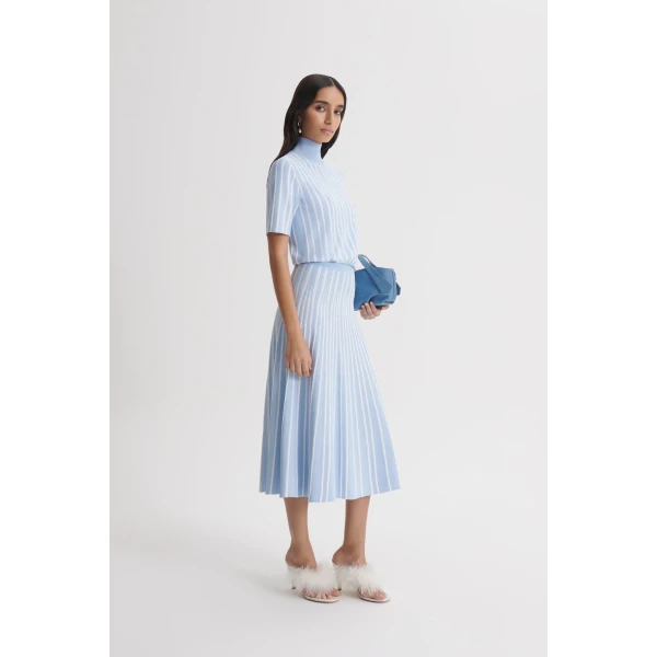 Scanlan Theodore Pleat Rib Stripe Skirt in Blue White