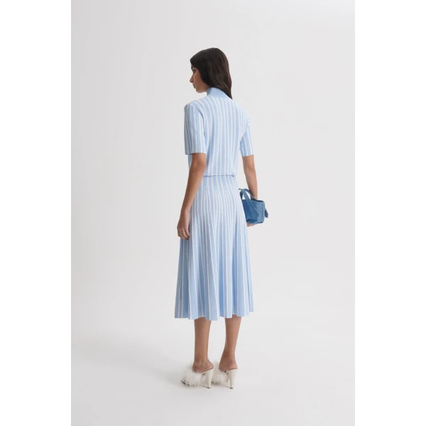Scanlan Theodore Pleat Rib Stripe Skirt in Blue White