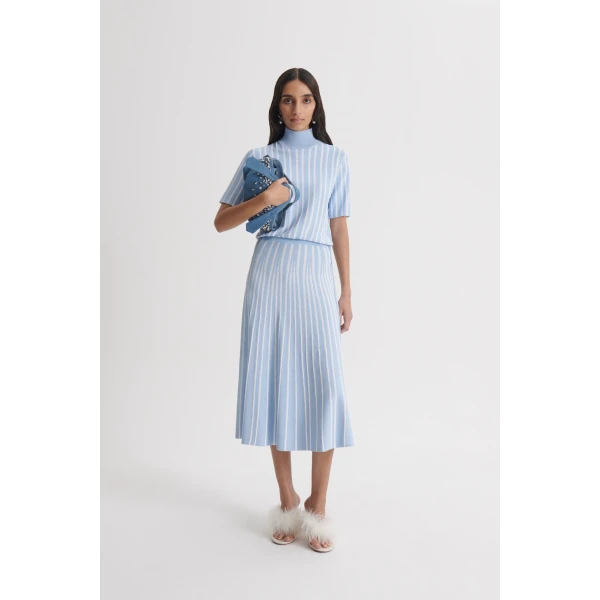Scanlan Theodore Pleat Rib Stripe Top in Blue White