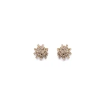 Scanlan Theodore Small Cascade Studs in Gold Quartz