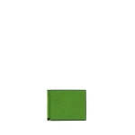 Valextra Simple Grip in Grass Green | Cases | Luxury Shoes 