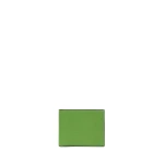 Valextra Wallet 4CC with Coin Holder in Grass Green | Cases | Luxury Shoes 