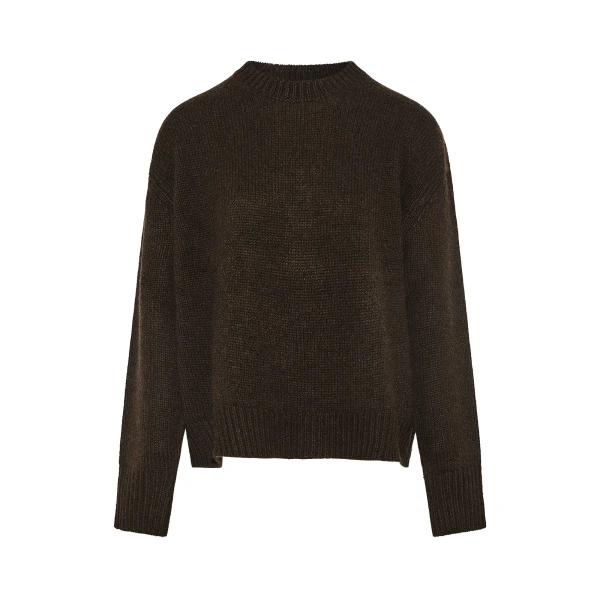 Cashmere Knit Crew Neck Sweater in Brown
